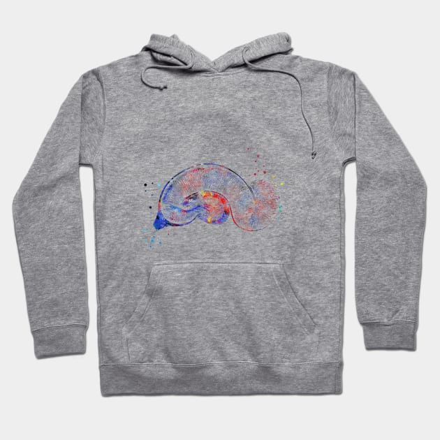 Brain Pyramidal Hoodie by RosaliArt